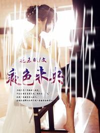 夜色88v精品国产亚洲av打造极致夜间体验