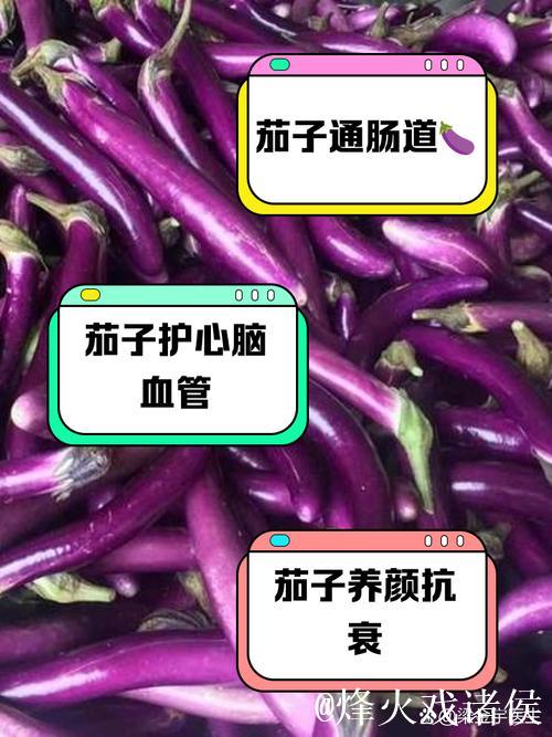 详解91茄子视频的功能与使用 详解91茄子视频的功能与使用