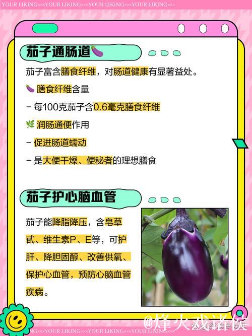 详解91茄子视频的功能与使用 详解91茄子视频的功能与使用