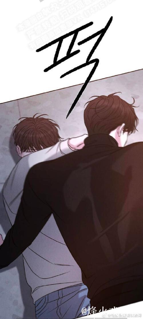 爱情岛论坛站长的秘密故事